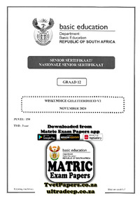 Mathematical Literacy P2 Nov 2020 Afr.pdf